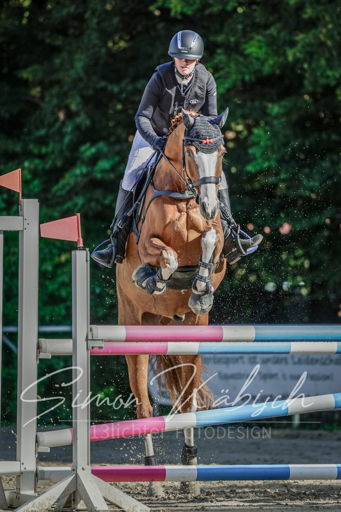 20250906-_3LI3306 | Tierfotografie Pferde, Hunde, Katzen, Haustiere.
Turnierfotografie Reitturniere, Reiten, Springreiten, Dressur in Hanau, dem Main-Kinzig-Kreis und dem Rhein-Main- Gebiet um Frankfurt