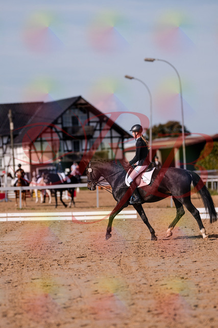 2026_10_03_Siefer-Hof_115442_Z81_94241566 | Professionelle Reitsport-, Turnier- und Eventfotografie von Robert Broda. Galerien mit ausgewählten und bearbeiteten Bildern direkt online ansehen und bestellen.