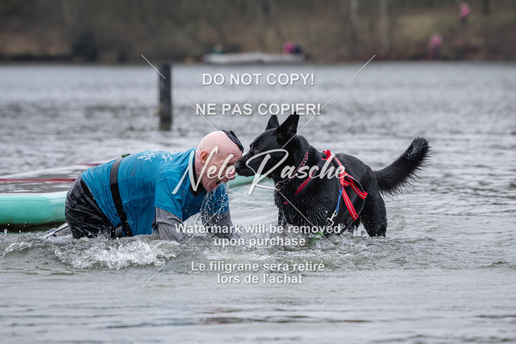 nelerasche_Hulsbeek_Sa1600-1700_334 | nelerasche