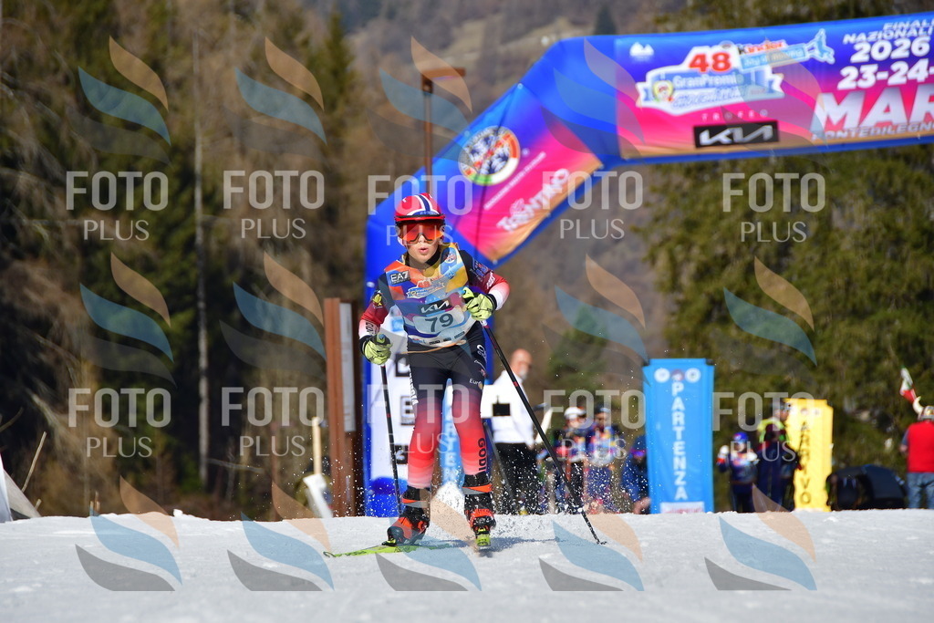 _DSC9377 | holidayphoto