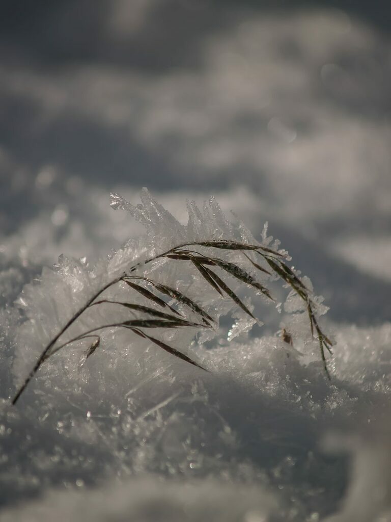 PSX_20221212_233013 | mtkfoto_ - Realisiert mit Pictrs.com