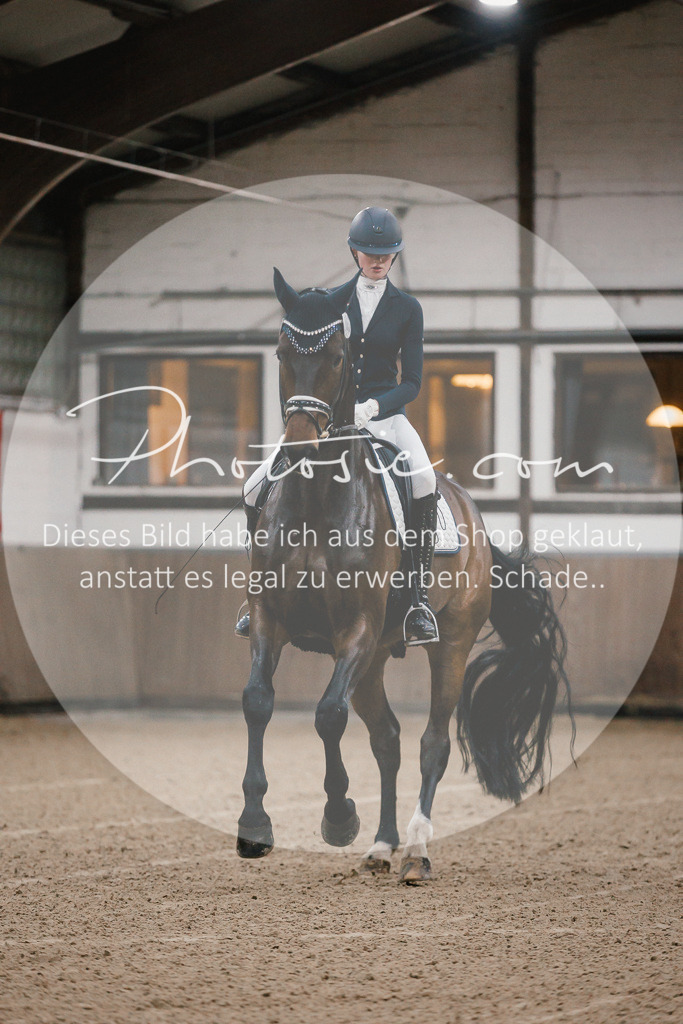3I6A5833 | Stimmungsvolle Portraits und Reitsportfotografie im Ruhrgebiet und im Münsterland.

Pferdefotografie, Hundefotografie, Tierfotografie, Reportagen, Portraits von Tier und Mensch, Turnierfotografie in Bochum, Recklinghausen, Marl, Haltern am See, Dülmen.. - Realisiert mit Pictrs.com