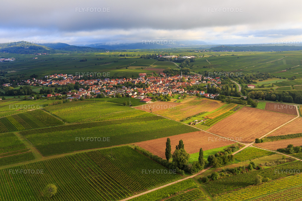 Luftbild: Dorfansicht aus Süden in Göcklingen im Bundesland Rheinland-Pfalz in Deutschland. Foto: IMG_103301.jpg vom 10.09.2017 durch Werner Riehm/FLY-FOTO.de