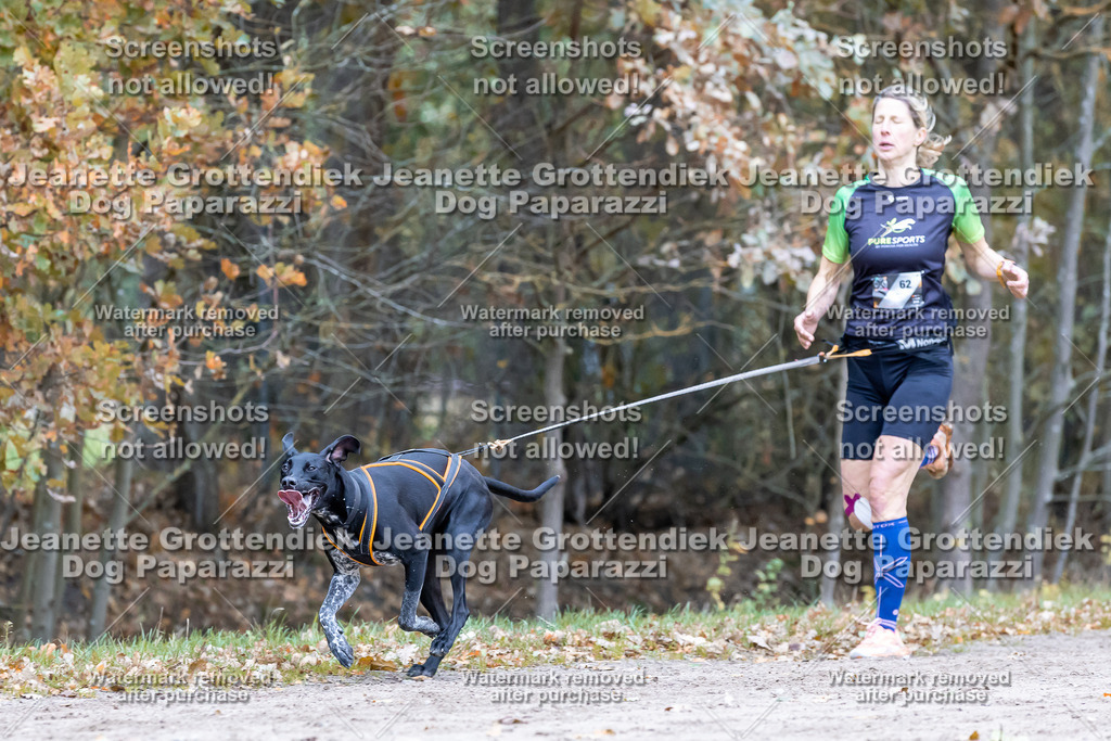 Dog Paparazzi - SD CaniX Championship 2025-609 | Dog Paparazzi Jeanette Grottendiek Fotografie & Videografie - Realisiert mit Pictrs.com