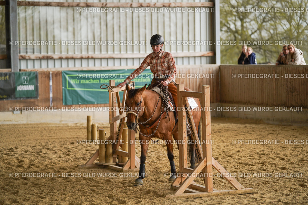 DSC06469 | Pferdegrafie