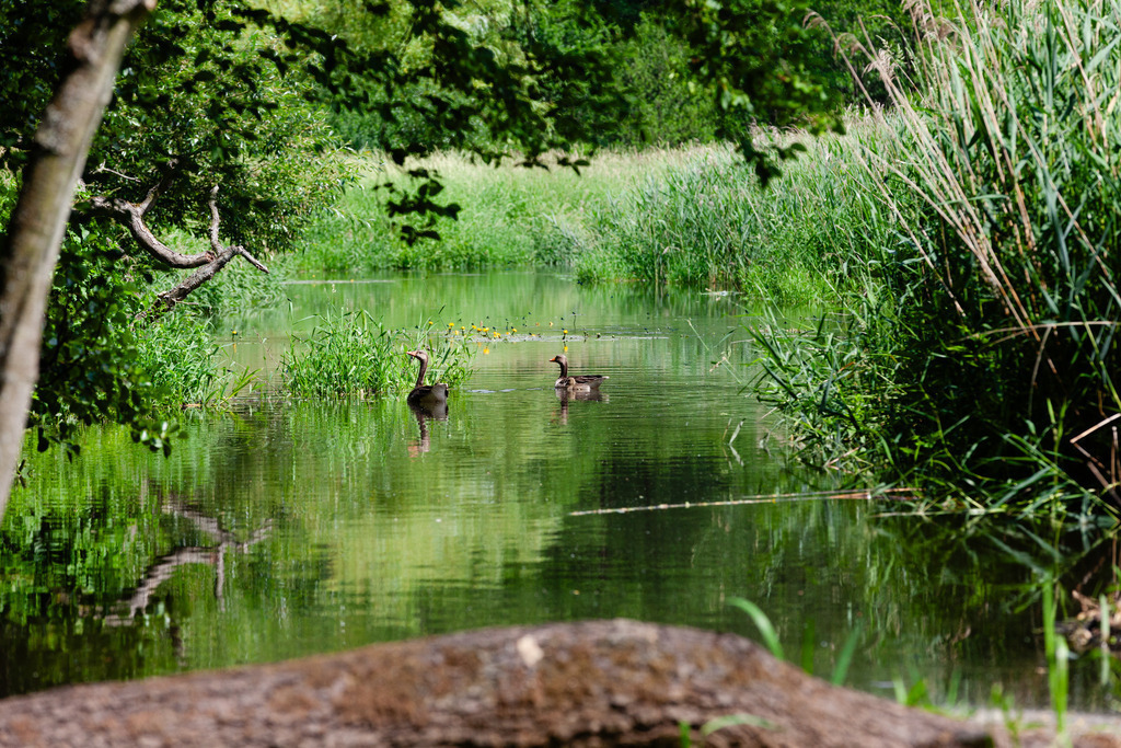 IMG_8811 | AHORN PHOTOGRAPHY - Realizzato con Pictrs.com