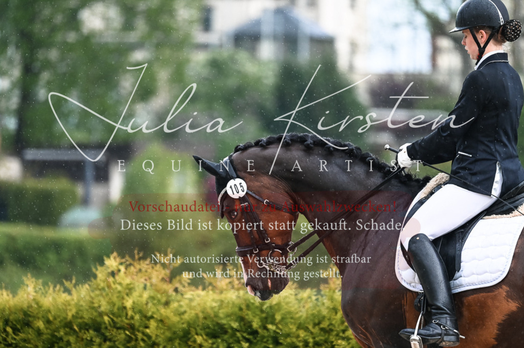 DSC_4132 | Pferde- und Turnierfotografie in Westsachsen. Pferdeportraits, Auftragszeichnungen und intuitive Kunst.
