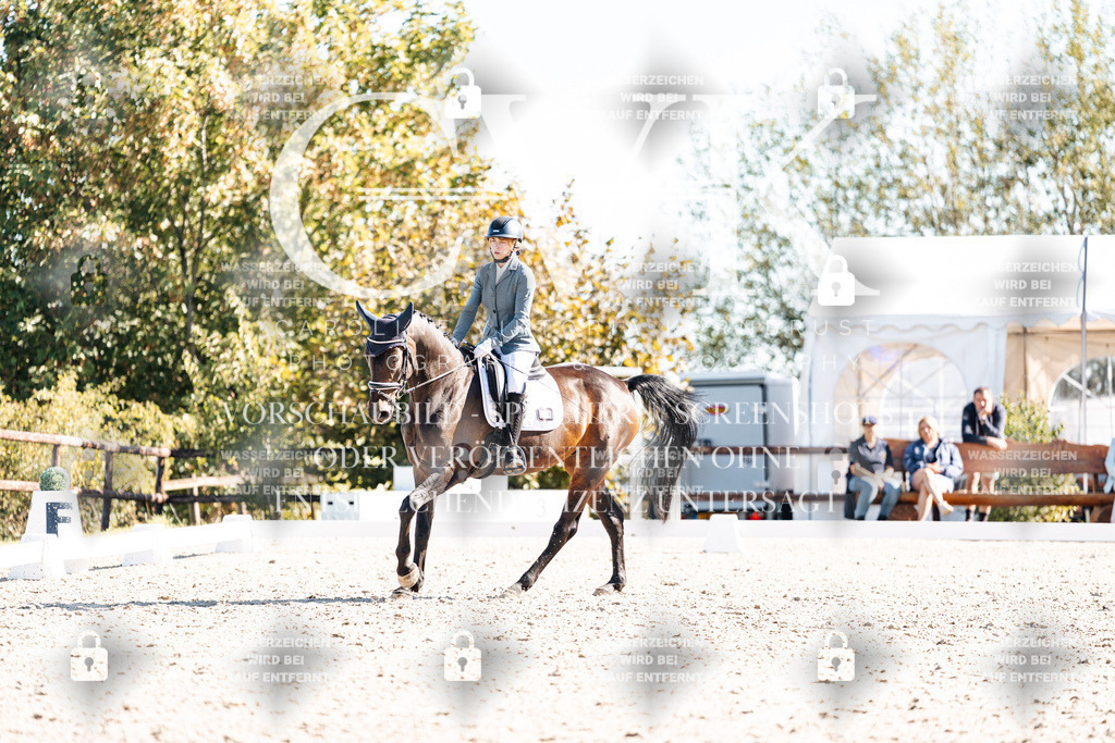 CK908819 | Turnierfotografie Pferdefotografie Trier Rheinland-Pfalz Pferdesport Reitsport Tierfotografie Sportfotografie Pferdevideo Pferdevideografie Equestrianvideography equestrianphotography  - Realisiert mit Pictrs.com