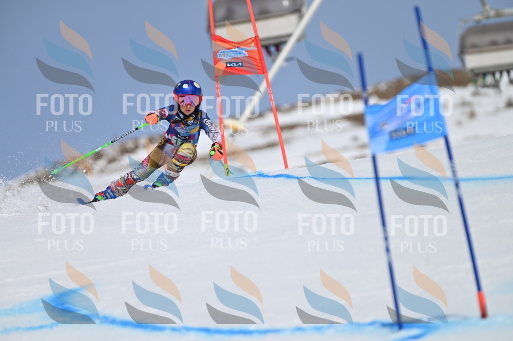 BGV_3407 | holidayphoto