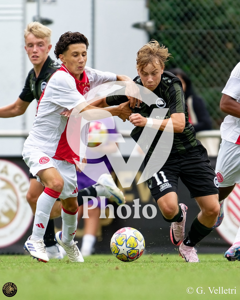 DZ9_0746 | Velletri Photo