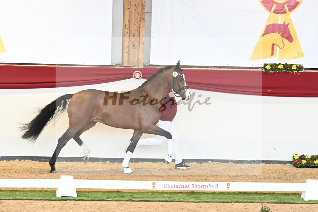Kat.-Nr. 79 v. Valverde_Gaab_2241008 | hf-fotografie - Realisiert mit Pictrs.com