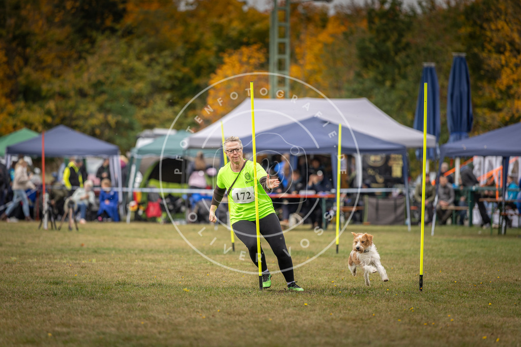 Pfotenfotografie_DV3A5908 | Hundefotografie, Tierfotograf, Pfotenfotografie, Fotoshooting Hund, Hunde Portrait, Hundesport, Hundeportraits, Heideshooting, Hunde, Sportfotograf, Hundefotograf, Turnierhundsport, THS,  - Realisiert mit Pictrs.com