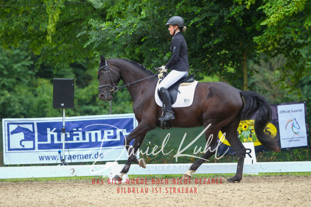 DKP40447 | Turniersportfotografie; Pferdefotografie; Dressurfotografie