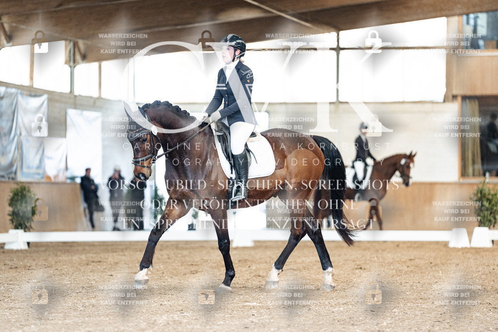 CK900841 | Turnierfotografie Pferdefotografie Trier Rheinland-Pfalz Pferdesport Reitsport Tierfotografie Sportfotografie Pferdevideo Pferdevideografie Equestrianvideography equestrianphotography  - Realisiert mit Pictrs.com