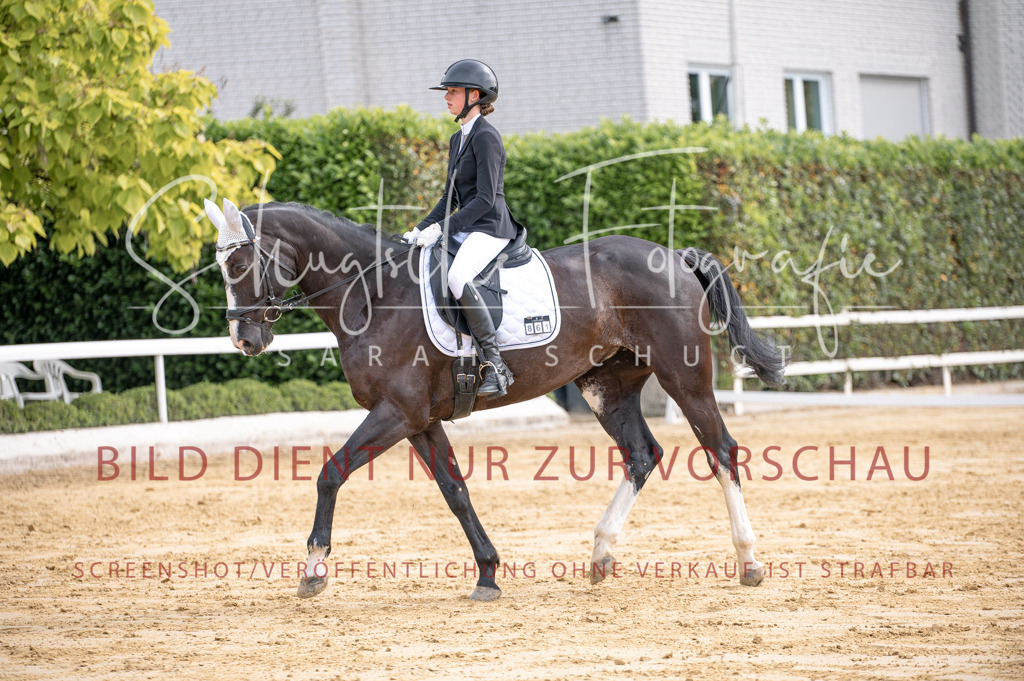 Schugtsche-Aluta25-40.DressurprfA_-230 | Schugtsche Fotografie - Realisiert mit Pictrs.com