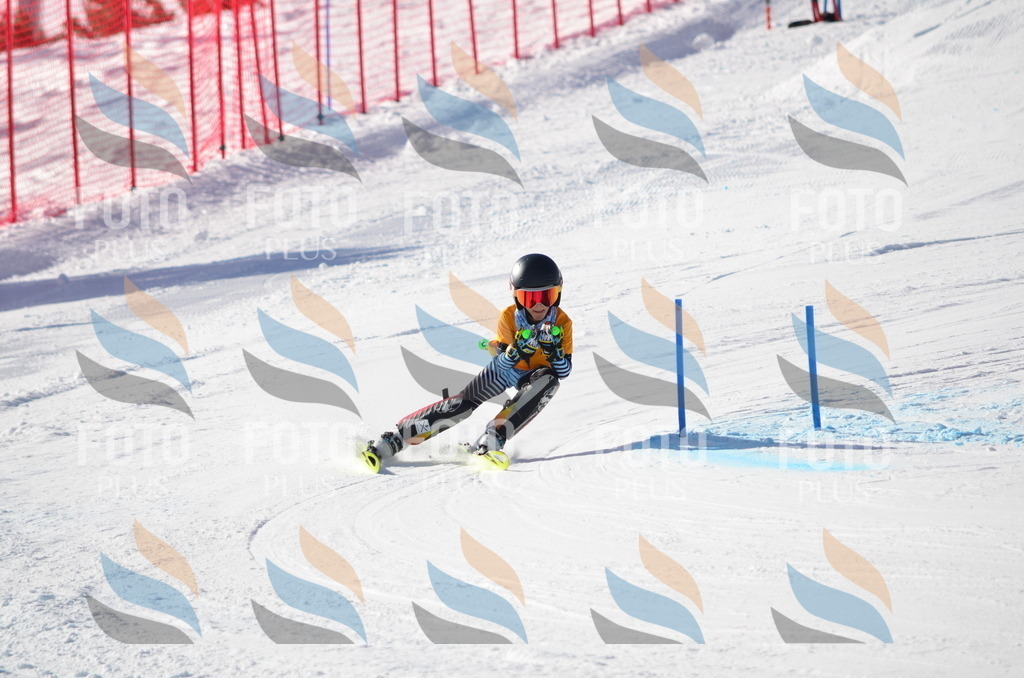 C6487 | holidayphoto