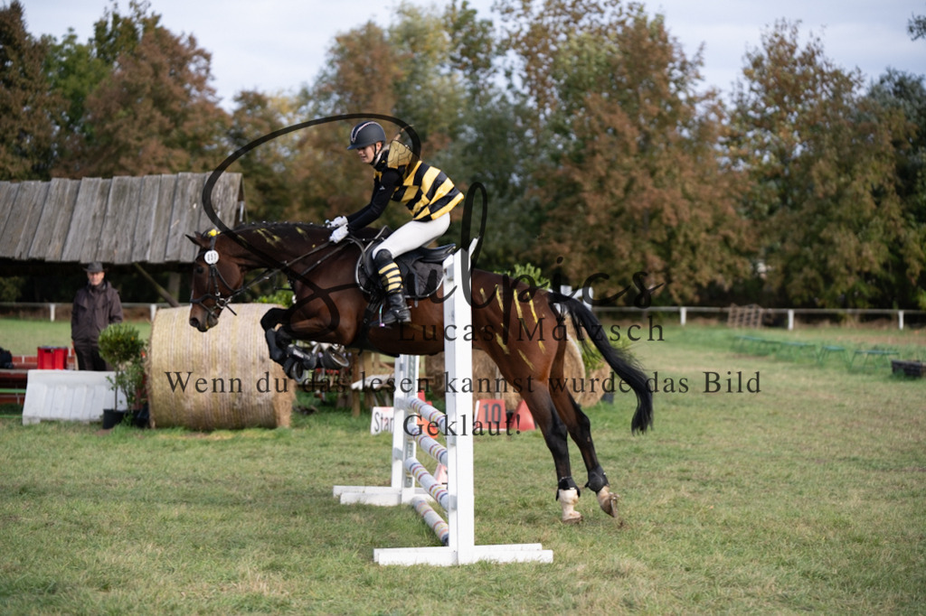 A7V06554 | Pferdefotograf