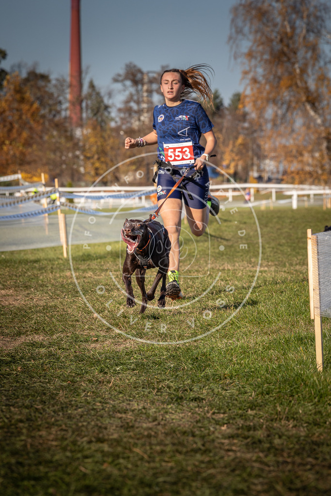 CaniXpix_0L8A7688 | Hundefotografie, Tierfotograf, Pfotenfotografie, Fotoshooting Hund, Hunde Portrait, Hundesport, Hundeportraits, Heideshooting, Hunde, Sportfotograf, Hundefotograf, Turnierhundsport, THS,  - Realisiert mit Pictrs.com