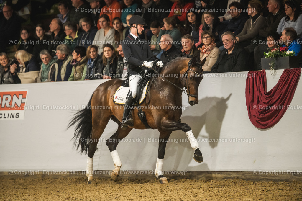 20240302_Hengstvorstellung_Marbach_TOMsPiC_1250 | equistock