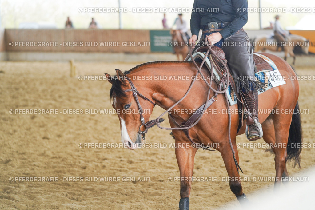 DSC06207 | Pferdegrafie