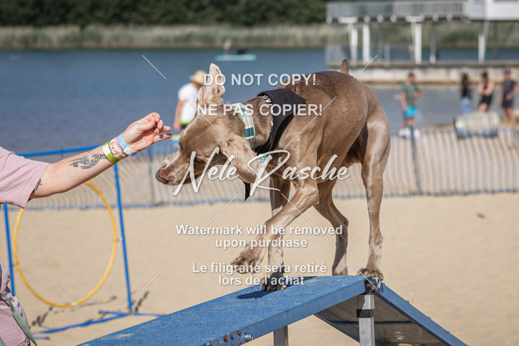 nelerasche_saBeachility_119 | nelerasche
