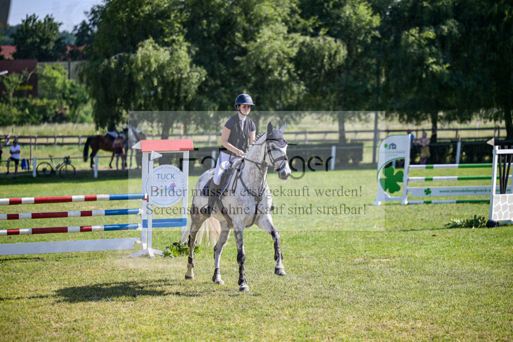 Reitturnier Voxtrup | Entdecke hochwertige Reitturnierfotos von Foto Oger. Professionell, emotional und authentisch – jetzt Lieblingsmomente im Shop bestellen.Deutschlandweite Turnierfotografie. - Realisiert mit Pictrs.com