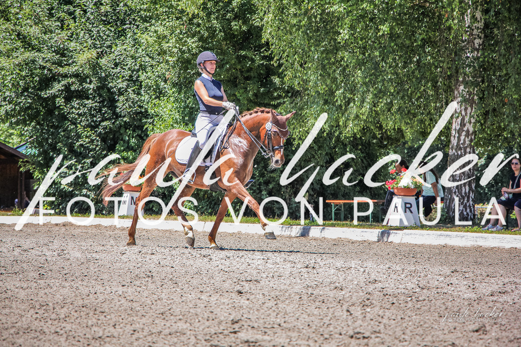 IMG_1133 | Erleben Sie dynamische Sport- und emotionale Tierfotografie in Süddeutschland mit Fotos von Paula. Spezialisiert auf Pferde- und Hundefotografie sowie Sportevents. Kontaktieren Sie mich für einzigartige und ausdrucksstarke Bilder Ihrer besonderen Momente. - Realisiert mit Pictrs.com