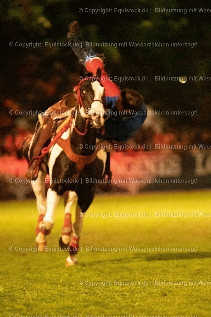 20230526_Pferdenacht_1275 | equistock