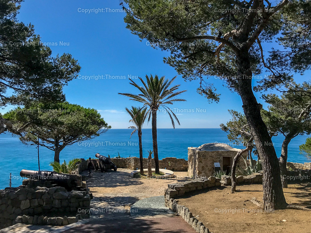 AE6F3CCC-34A2-4D30-9673-D22503F6C8CE | ,, Bild: Thomas Neu