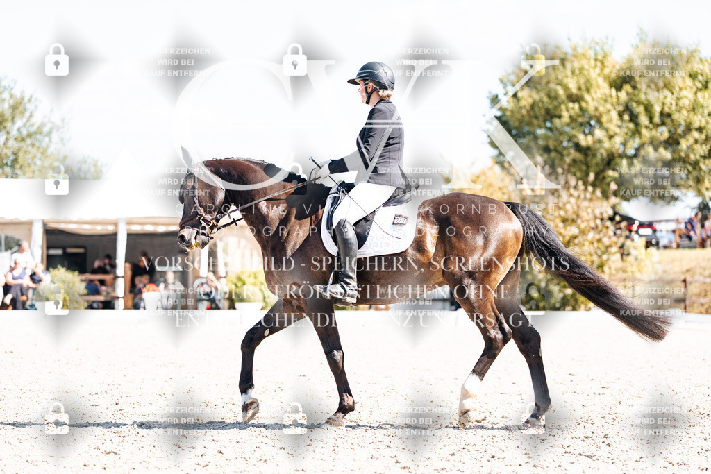 CK903619 | Turnierfotografie Pferdefotografie Trier Rheinland-Pfalz Pferdesport Reitsport Tierfotografie Sportfotografie Pferdevideo Pferdevideografie Equestrianvideography equestrianphotography  - Realisiert mit Pictrs.com