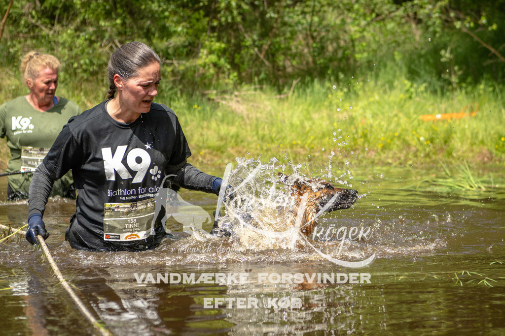 1235DKK993079 | kk-dogfotos