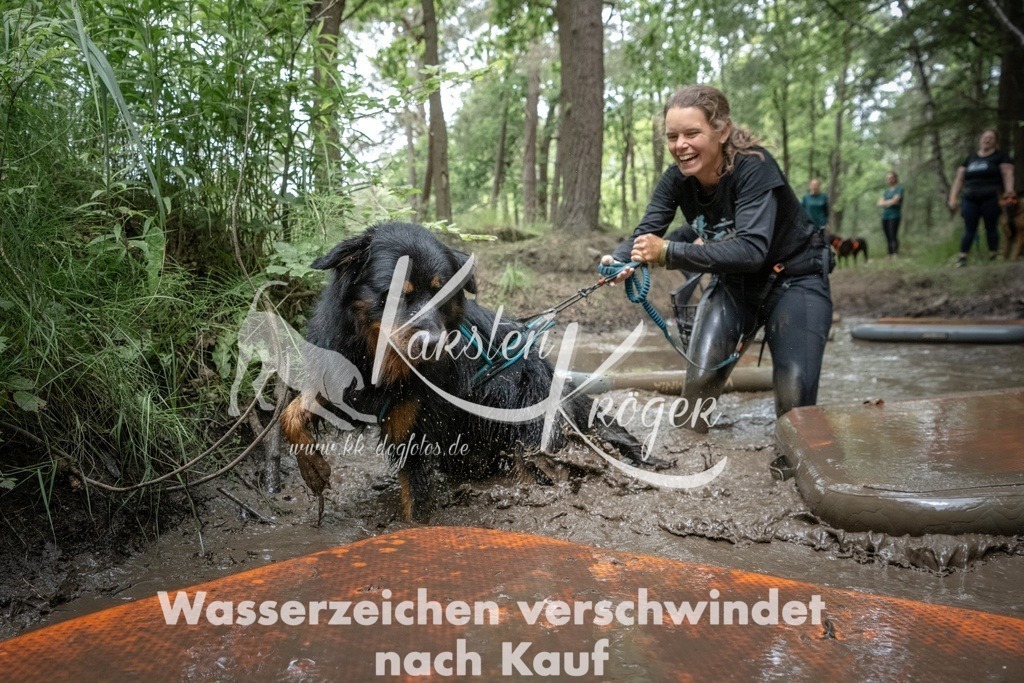 1227_ZZ99291T | kk-dogfotos