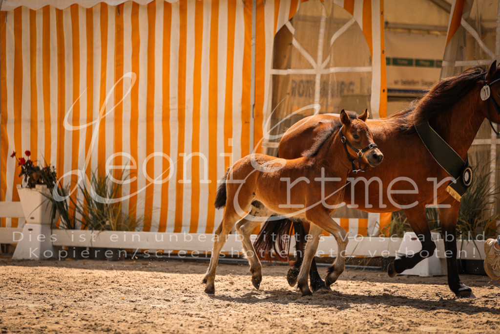 02.DoSR00233 | Leoni Ertmer Photography - Realisiert mit Pictrs.com