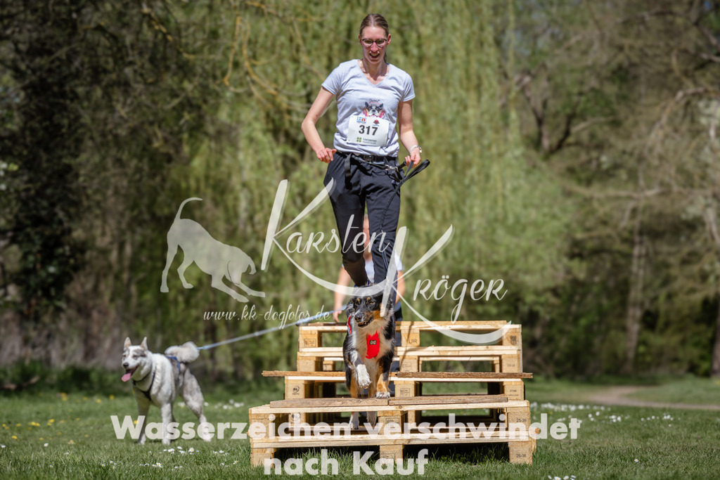1223_ZZ91359 | kk-dogfotos