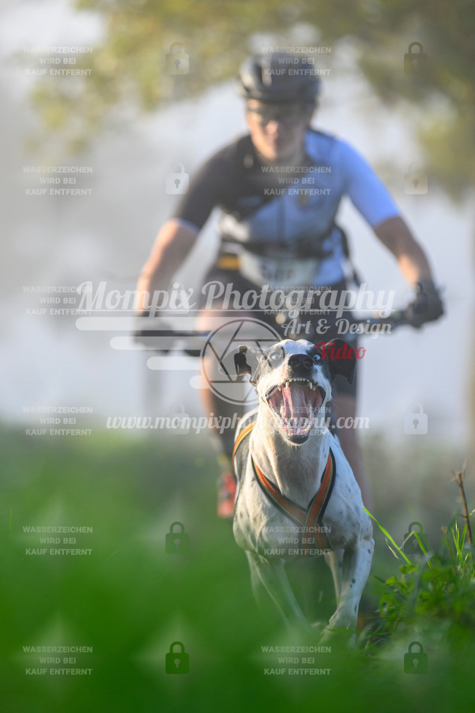 MompixPhotography_20TSB_E3_Bike-46 | PayLife