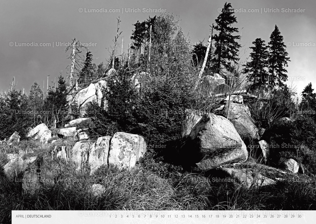 Kalender_Ausstellung_Landschaften-5 | Stockfoto und Bilderpool mit Bildmaterial aus Deutschland, dem Harz, Halberstadt, Quedlinburg, Wernigerode und weltweit. Qualitativ hochwertige und professionelle Fotos anschauen und kaufen. - Realisiert mit Pictrs.com