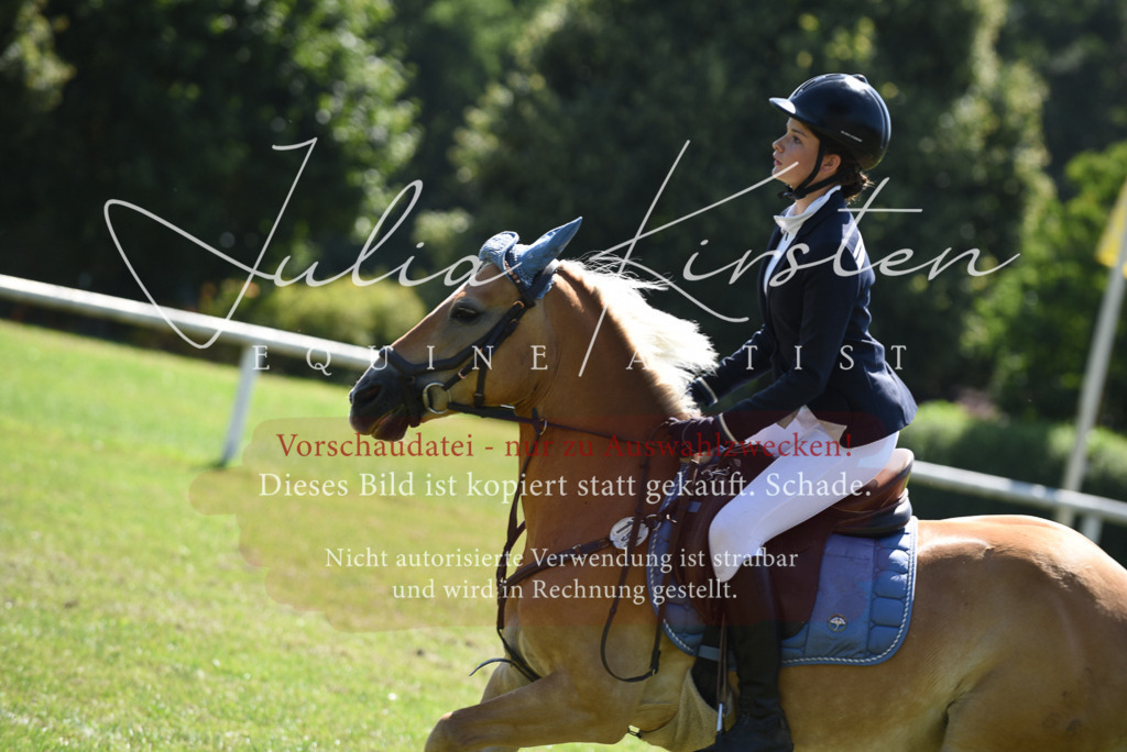 DSC_9617 | Pferde- und Turnierfotografie in Westsachsen. Pferdeportraits, Auftragszeichnungen und intuitive Kunst.
