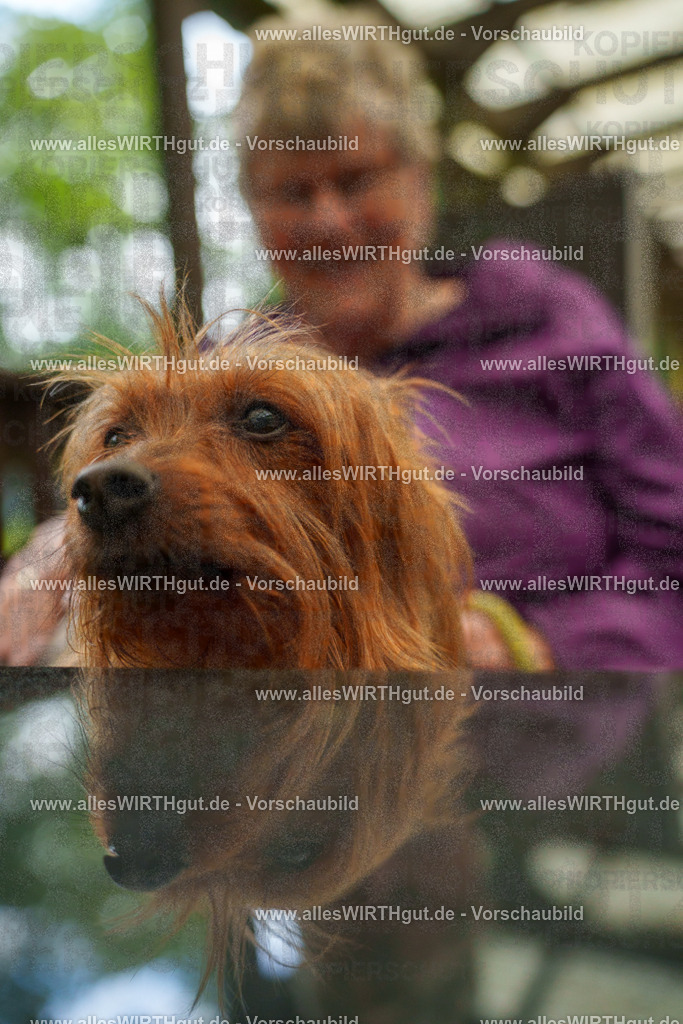 @allesWIRTHgut_Tierfotografie - www.allesWIRTHgut.de - 111524-7R508440 | Professionelle Tierfotografie in Mönchengladbach von Daniel Wirth (allesWIRTHgut). Liebevolle & natürliche Bilder von Hunden & Katzen für unvergessliche Erinnerungen.