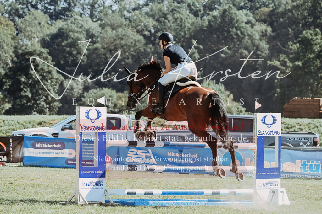 DSC_6439 | Pferde- und Turnierfotografie in Westsachsen. Pferdeportraits, Auftragszeichnungen und intuitive Kunst.