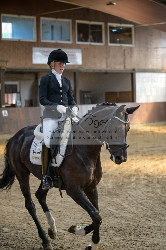 Reitturnier Voxtrup | Entdecke hochwertige Reitturnierfotos von Foto Oger. Professionell, emotional und authentisch – jetzt Lieblingsmomente im Shop bestellen.Deutschlandweite Turnierfotografie. - Realisiert mit Pictrs.com