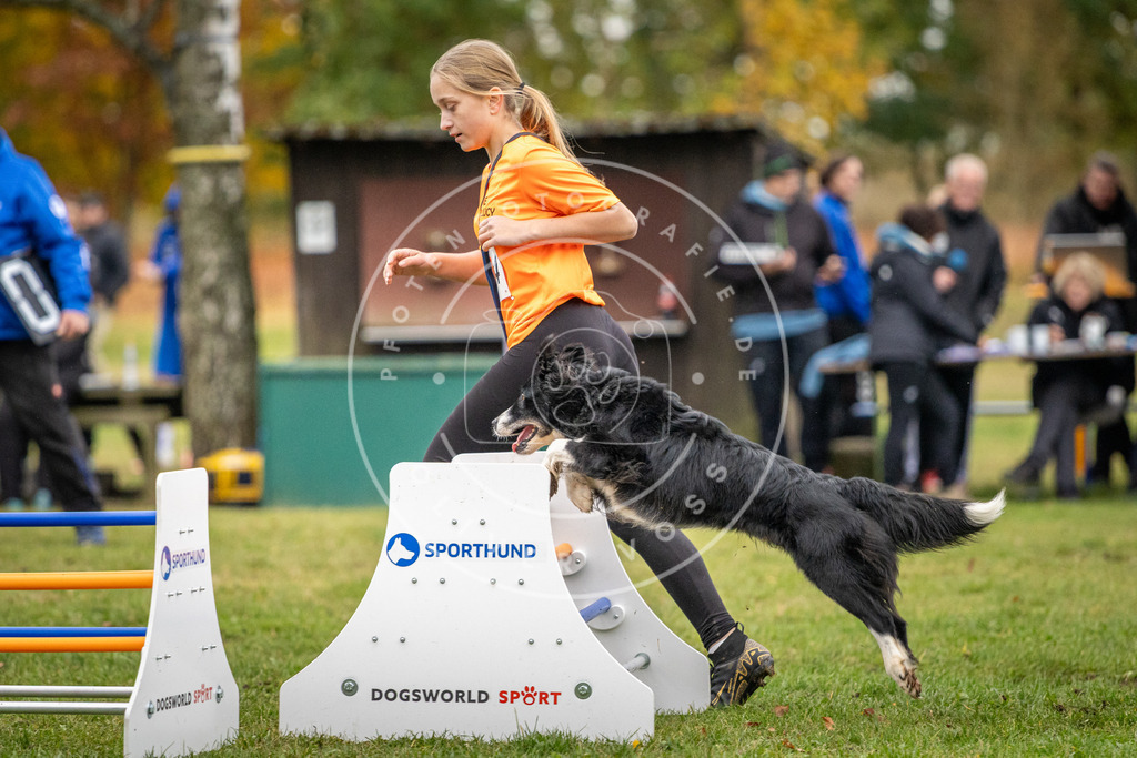 Pfotenfotografie_DV3A0571 | Hundefotografie, Tierfotograf, Pfotenfotografie, Fotoshooting Hund, Hunde Portrait, Hundesport, Hundeportraits, Heideshooting, Hunde, Sportfotograf, Hundefotograf, Turnierhundsport, THS,  - Realisiert mit Pictrs.com