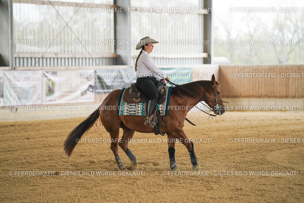 DSC07830 | Pferdegrafie