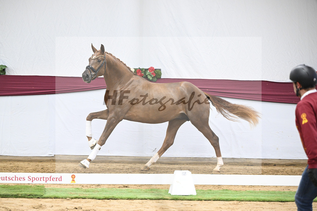 Kat-Nr. 52 Filox x Feinrich_Rothenberger Ventures GmbH_47251962 | hf-fotografie - Realisiert mit Pictrs.com