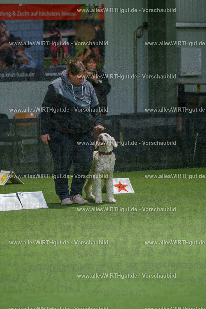 7R507541 | Professionelle Tierfotografie in Mönchengladbach von Daniel Wirth (allesWIRTHgut). Liebevolle & natürliche Bilder von Hunden & Katzen für unvergessliche Erinnerungen.