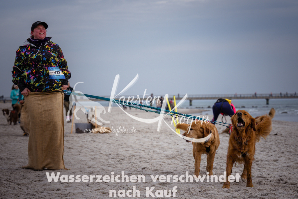 1254_ZZ96870 | kk-dogfotos