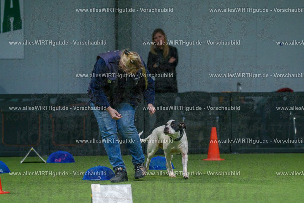 7R507754 | Professionelle Tierfotografie in Mönchengladbach von Daniel Wirth (allesWIRTHgut). Liebevolle & natürliche Bilder von Hunden & Katzen für unvergessliche Erinnerungen.