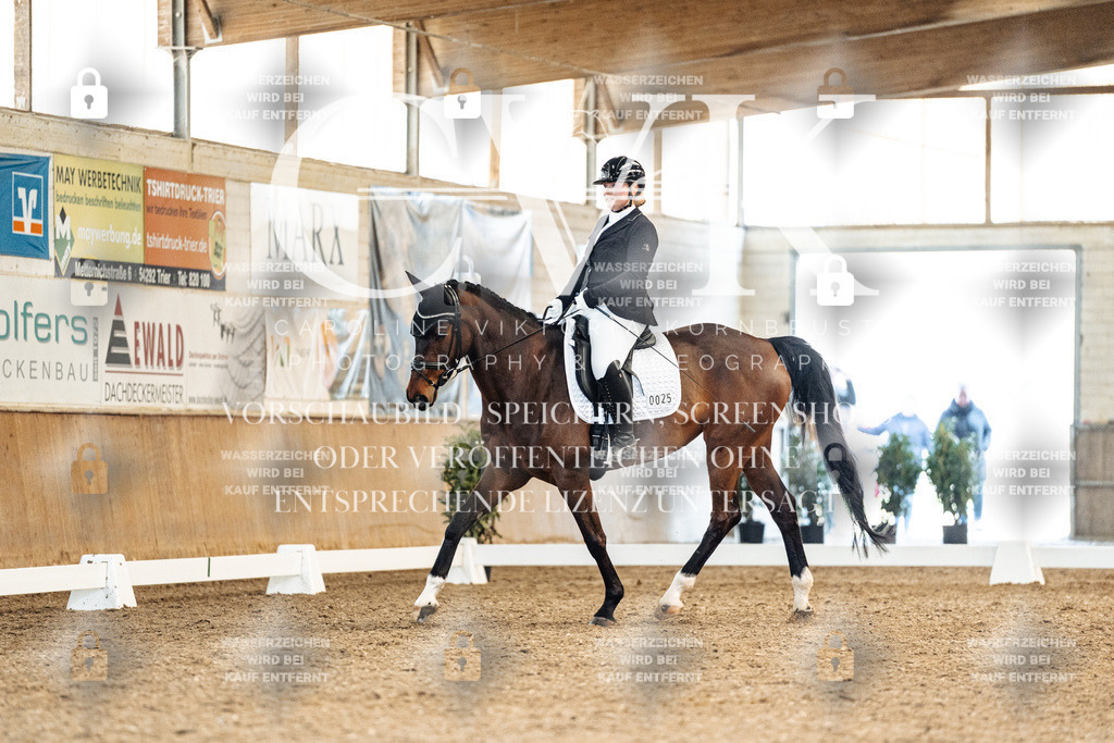 CK909365 | Turnierfotografie Pferdefotografie Trier Rheinland-Pfalz Pferdesport Reitsport Tierfotografie Sportfotografie Pferdevideo Pferdevideografie Equestrianvideography equestrianphotography  - Realisiert mit Pictrs.com