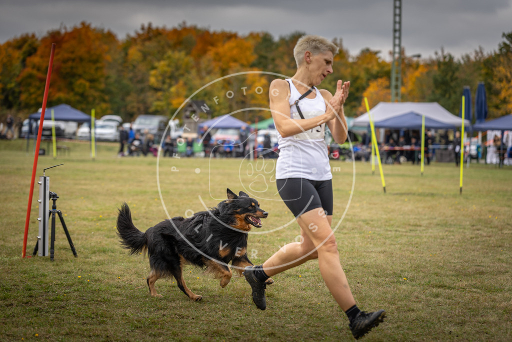 Pfotenfotografie_DV3A5770 | Hundefotografie, Tierfotograf, Pfotenfotografie, Fotoshooting Hund, Hunde Portrait, Hundesport, Hundeportraits, Heideshooting, Hunde, Sportfotograf, Hundefotograf, Turnierhundsport, THS,  - Realisiert mit Pictrs.com