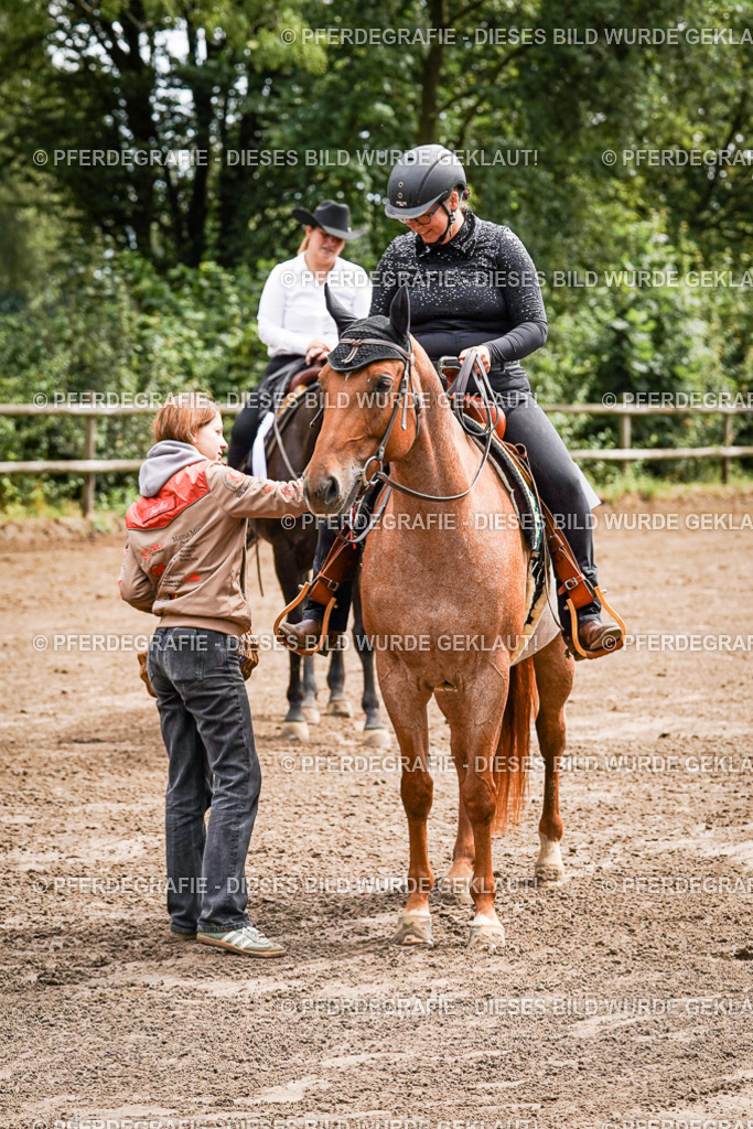 DSC05799 | Pferdegrafie