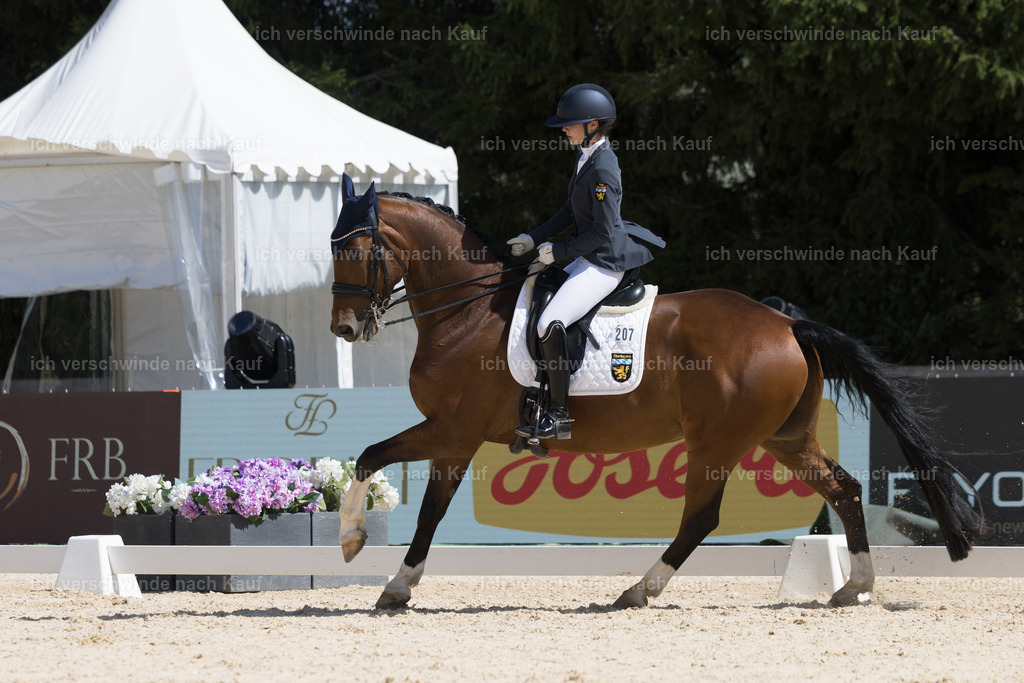 FHC2026_P02_207_13417 | Fichtenhof Classics 2026 – Dressurturnier, Reitanlage Fichtenhof, Schäftlarn